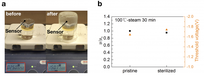 Figure 2  a) Photograph of OFET device before and during 100 ℃-saturated steam sterilization.
                b) Normalized mobility and threshold voltage change after 30 minutes’ saturated steam sterilization.